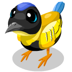 Gift Links, , , Gift Links, , ,