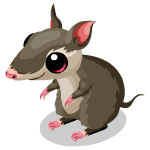 Gift Links, , , Gift Links, , ,