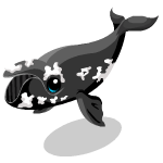 Gift Links, , , Gift Links, , ,