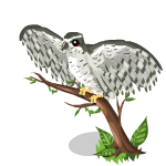 Gift Links, , , Gift Links, , ,