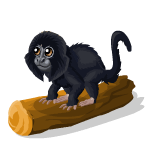 Gift Links, , , Gift Links, , ,