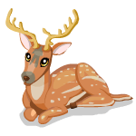 Gift Links, , ,  Gift Links, , ,