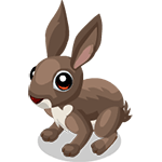 Gift Links, , ,  Gift Links, , ,