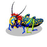 Gift Links, , ,  Gift Links, , ,