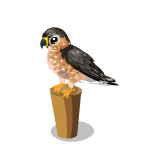 Gift Links, , , Gift Links, , ,