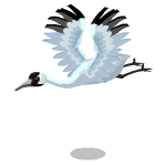 Gift Links, , , Gift Links, , ,