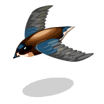 Gift Links, , , Gift Links, , ,