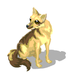 Gift Links, , , Gift Links, , ,