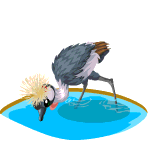 Gift Links, , , Gift Links, , ,