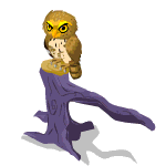 Gift Links, , , Gift Links, , ,