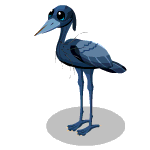 Gift Links, , , Gift Links, , ,