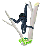 Gift Links, , , Gift Links, , ,