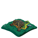 Gift Links, , , Gift Links, , ,