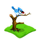 Gift Links, , , Gift Links, , ,