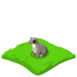 Gift Links, , ,  Gift Links, , ,