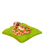 Gift Links, , , Gift Links, , ,