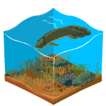 Gift Links, , , Gift Links, , ,