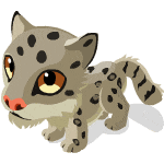 Gift Links, , ,  Gift Links, , ,