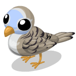 Gift Links, , , 