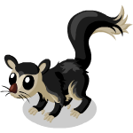 Gift Links, , ,  Gift Links, , ,