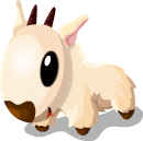 Gift Links, , ,  Gift Links, , ,