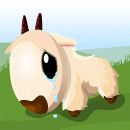 Gift Links, , ,  Gift Links, , ,