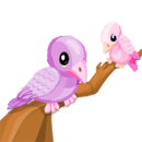 Gift Links, , ,  Gift Links, , ,
